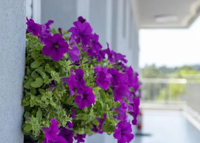 Briki Апартаменты Kallithea (Chalkidiki)